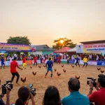 Witness thrilling gà đá Thomo battles in real-time with exciting competitions displayed.