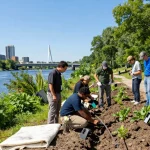 Erosion control Ottawa specialists examining soil and vegetation along a waterway using eco-friendly practices.